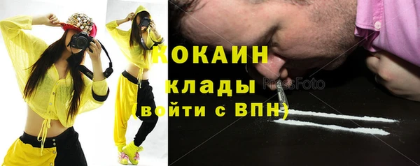 дживик Зерноград