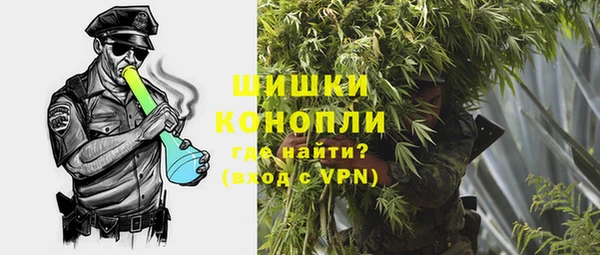 бошки Заводоуковск