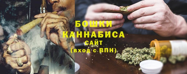 бошки Заводоуковск