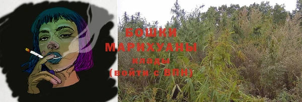 дживик Зерноград