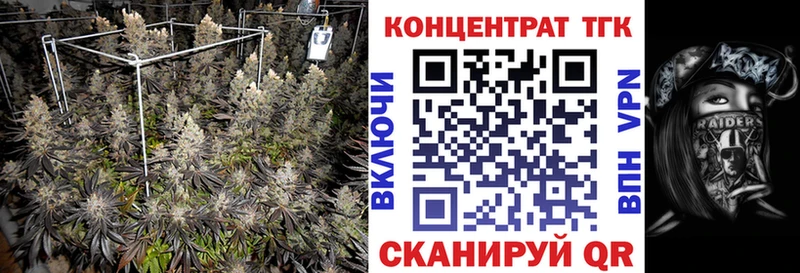 как найти закладки  Жуковский  ТГК вейп 